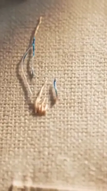 Use the uploaded image as the basis for the final embroidery result. The video begins with an extreme macro close-up of an empty cotton shirt fabric. On a clean fabric that initially has no pattern, color thread embroidery is gradually made by itself, reflecting the form of the uploaded image and the main colors. No person with a hand or needle appears, and the movement of thread and embroidery is automatically performed by an invisible force. The color thread naturally rises from the surface of the fabric, pulling taut one by one, and forms dense satin stitches and elaborate embroidery along the contours and core details of the uploaded image. Solid lines, cotton fills, and curved flows build up sequentially, revealing more and more three-dimensional embroidery textures, and the embroidered area gradually expands within the frame. Finally, the uploaded image is finished like an embroidery patch. The camera maintains a fixed single shot and proceeds with a slow and satisfying time-lapse feeling without switching scenes. The lighting realistic expresses the touch of soft natural side light, shallow depth of field, clear fabric fiber texture, soft luster of thread, and thick embroidery surface. The sound is designed around embroidery ASMR. The fine stinging sound of the thread passing through the cloth, the blind spot where the thread is pulled and tightened, the soft friction of the fabric slightly strained, and the regular, dense, delicate sound when the stitches are laid in a row are clearly heard. The background music is cute and cozy with low-volume warm glockenspiel, marimba, ukulele and pizzicato strings, and finally finishes with small bright bells. The whole tone is calm and immersive, satisfying and luxurious handicraft documentary feel. The result is a 10-second video in which the uploaded image is completed with elaborate embroidery on the shirt fabric.